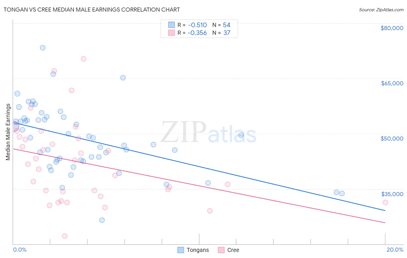 Tongan vs Cree Median Male Earnings