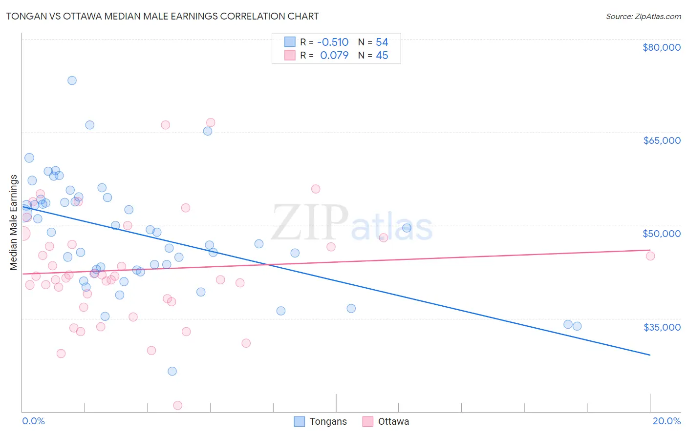 Tongan vs Ottawa Median Male Earnings