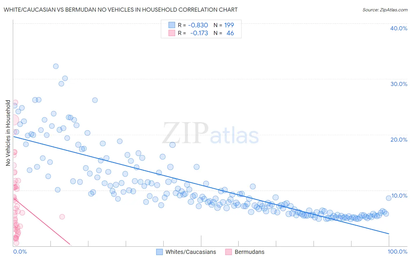 White/Caucasian vs Bermudan No Vehicles in Household