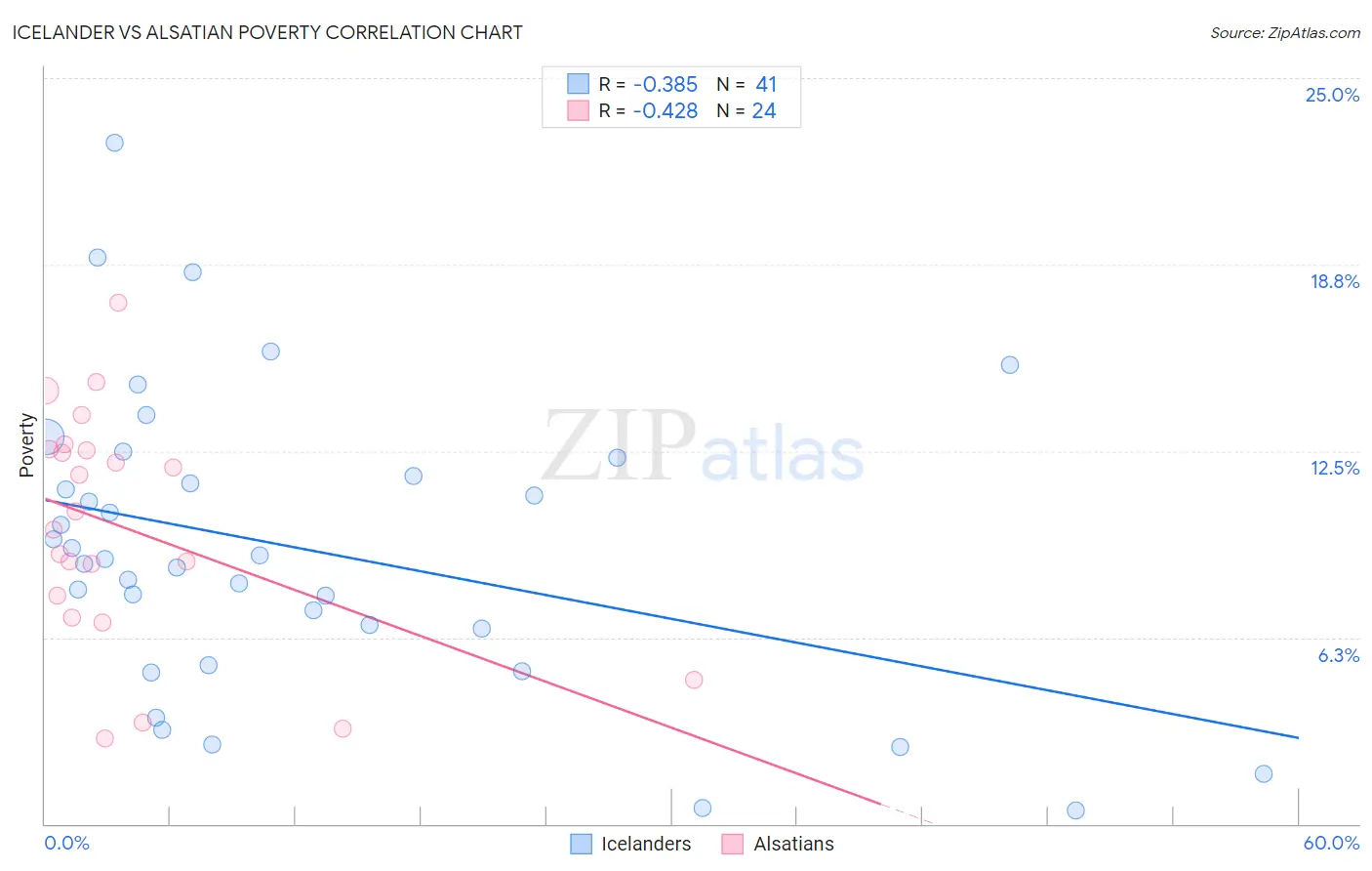 Icelander vs Alsatian Poverty