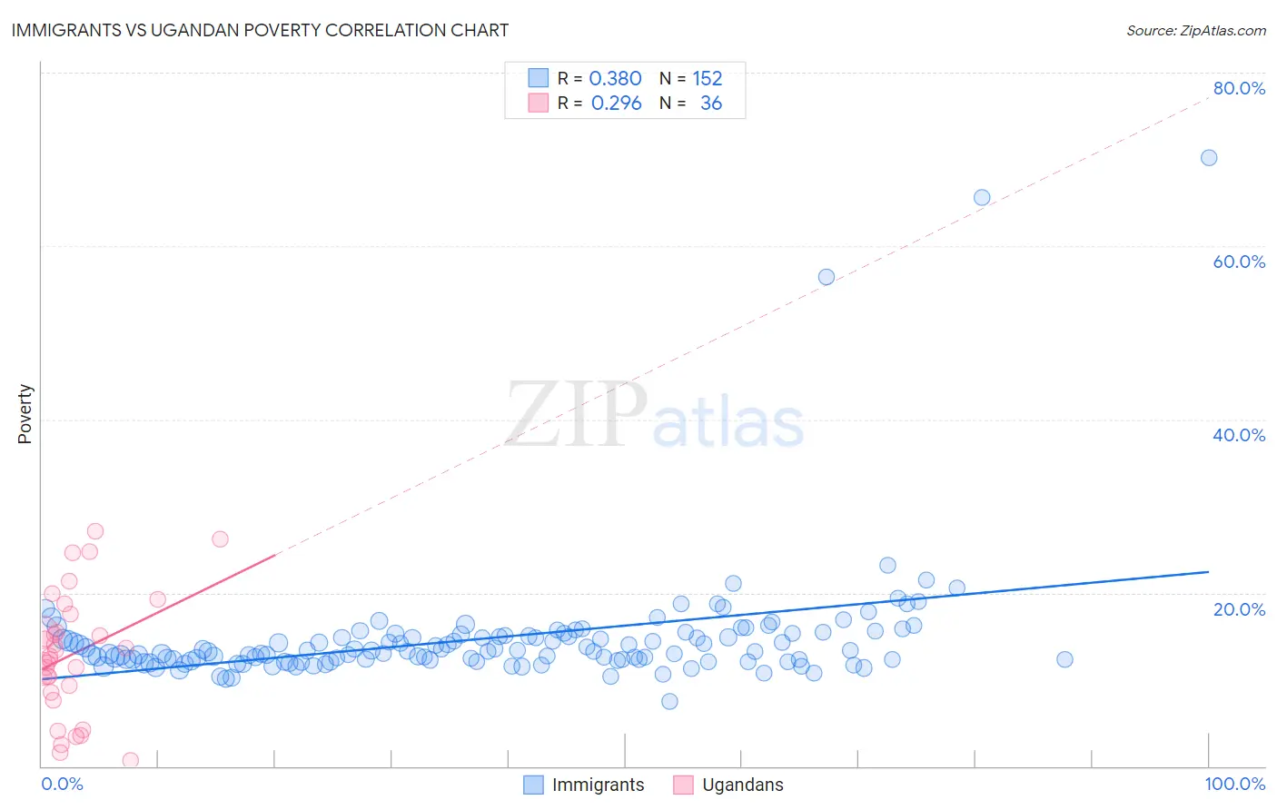 Immigrants vs Ugandan Poverty