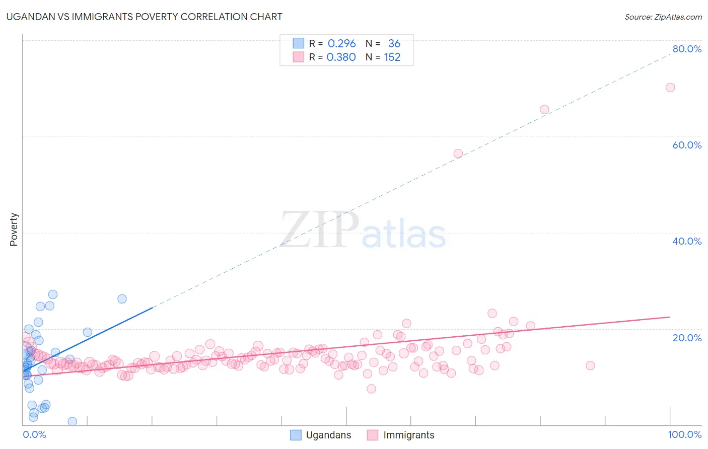 Ugandan vs Immigrants Poverty