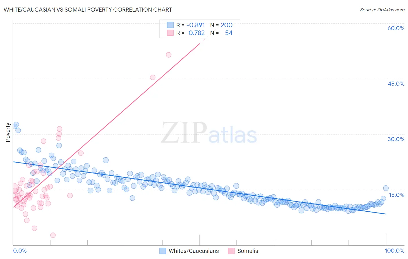 White/Caucasian vs Somali Poverty