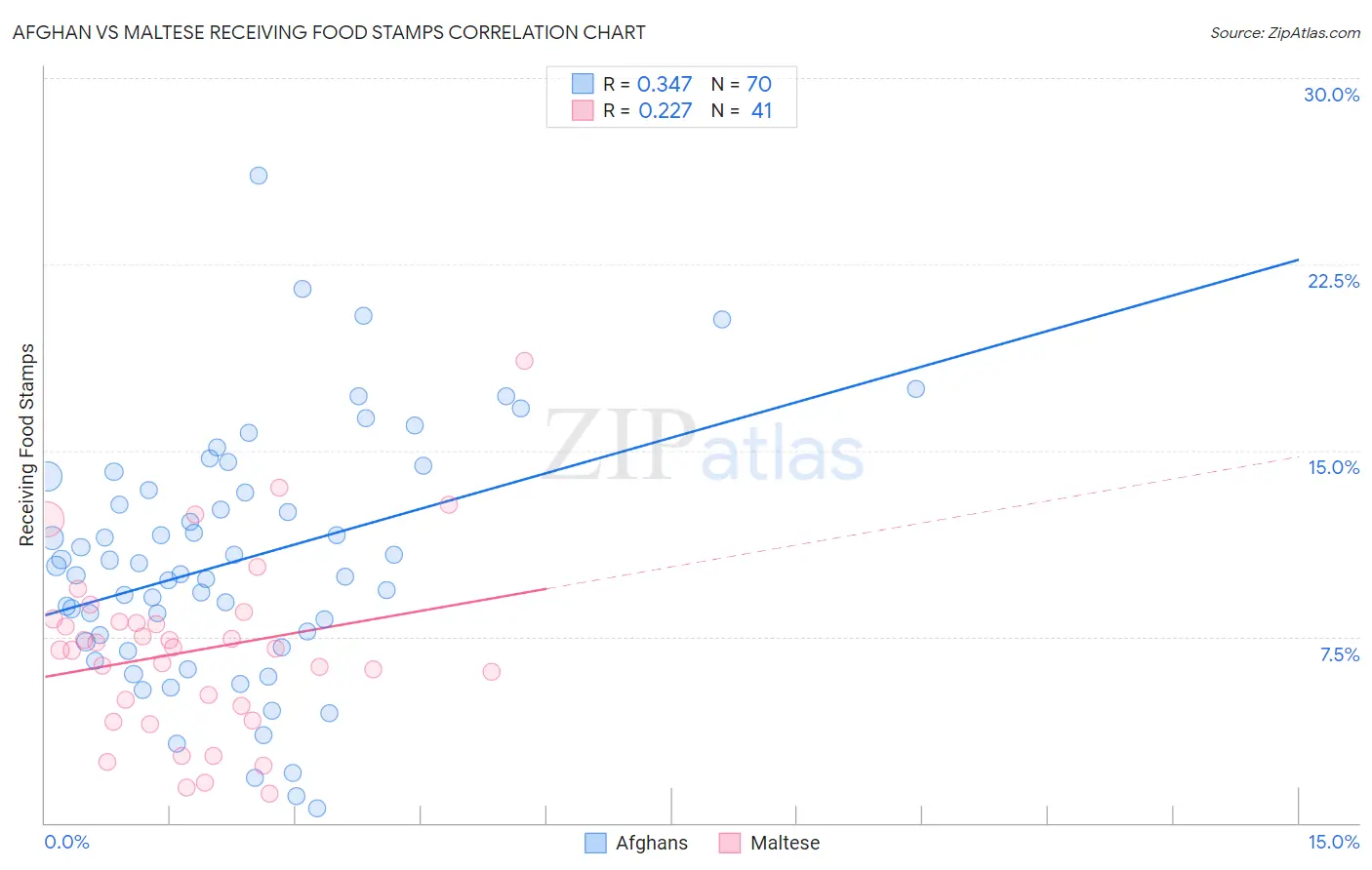Afghan vs Maltese Receiving Food Stamps