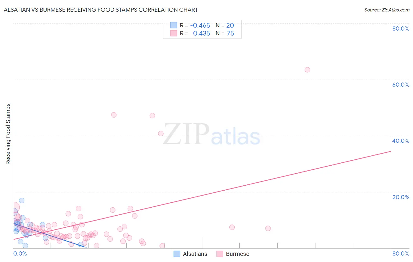 Alsatian vs Burmese Receiving Food Stamps