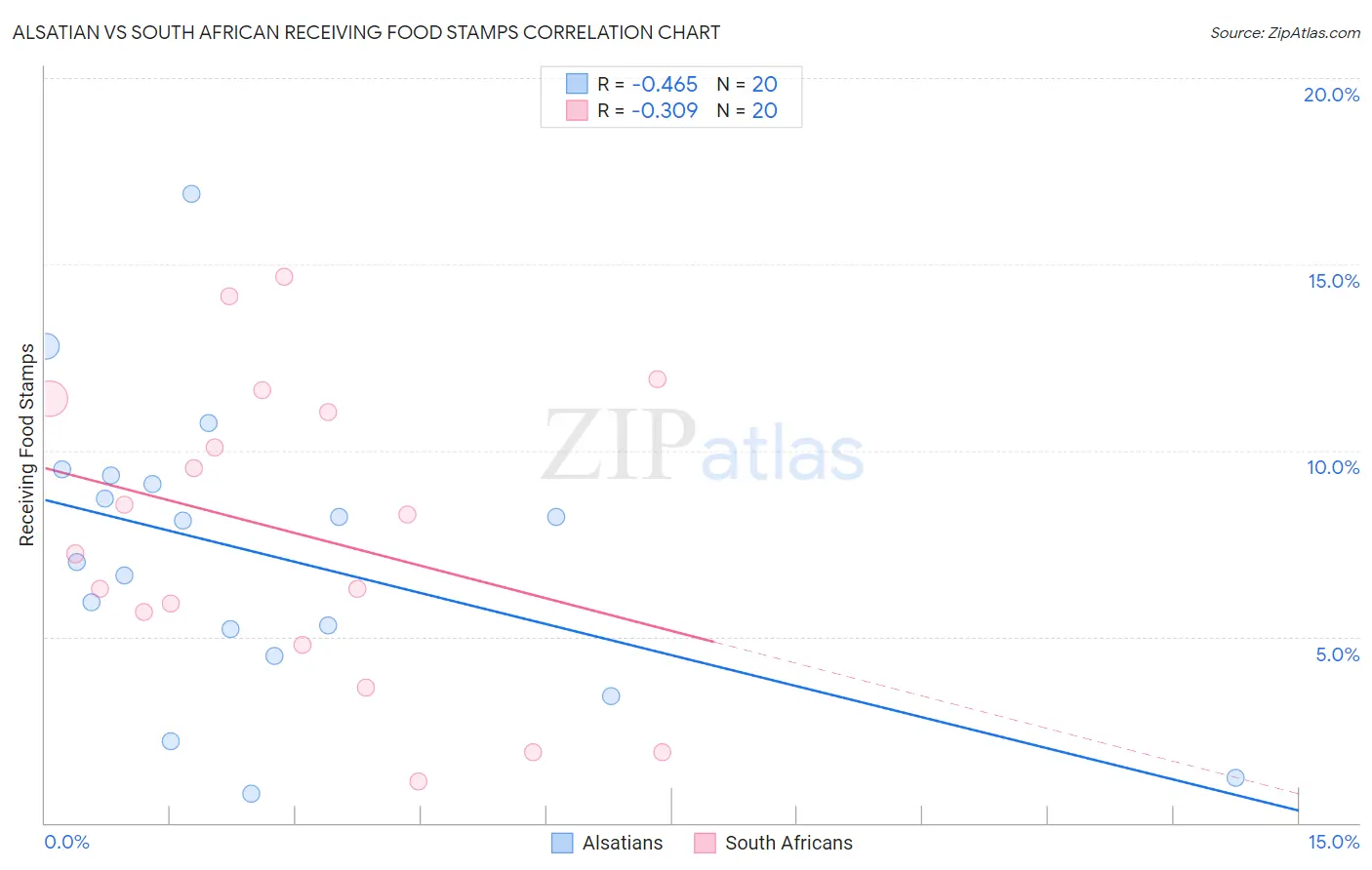 Alsatian vs South African Receiving Food Stamps