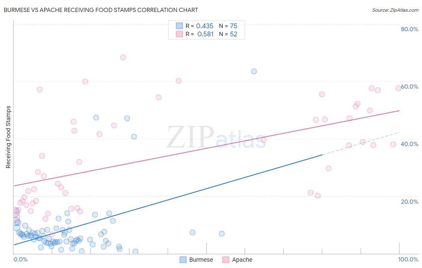 Burmese vs Apache Receiving Food Stamps
