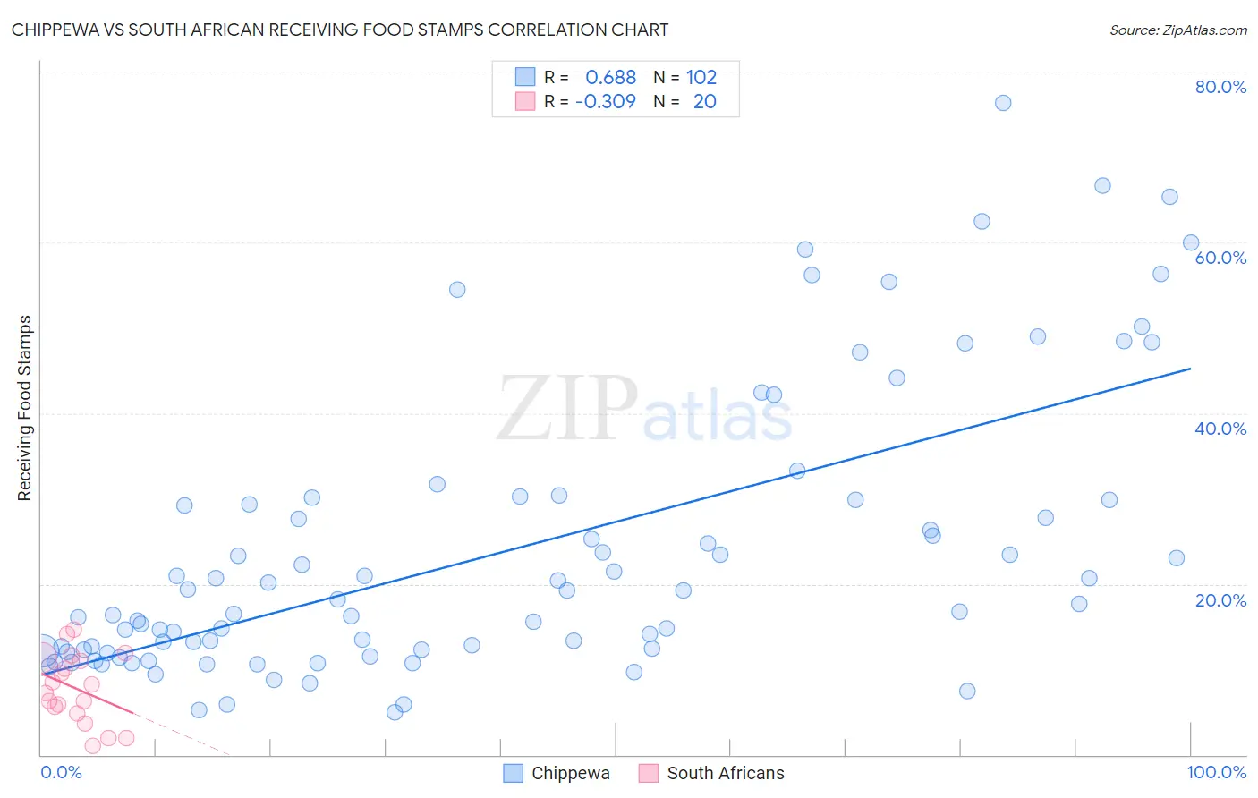 Chippewa vs South African Receiving Food Stamps