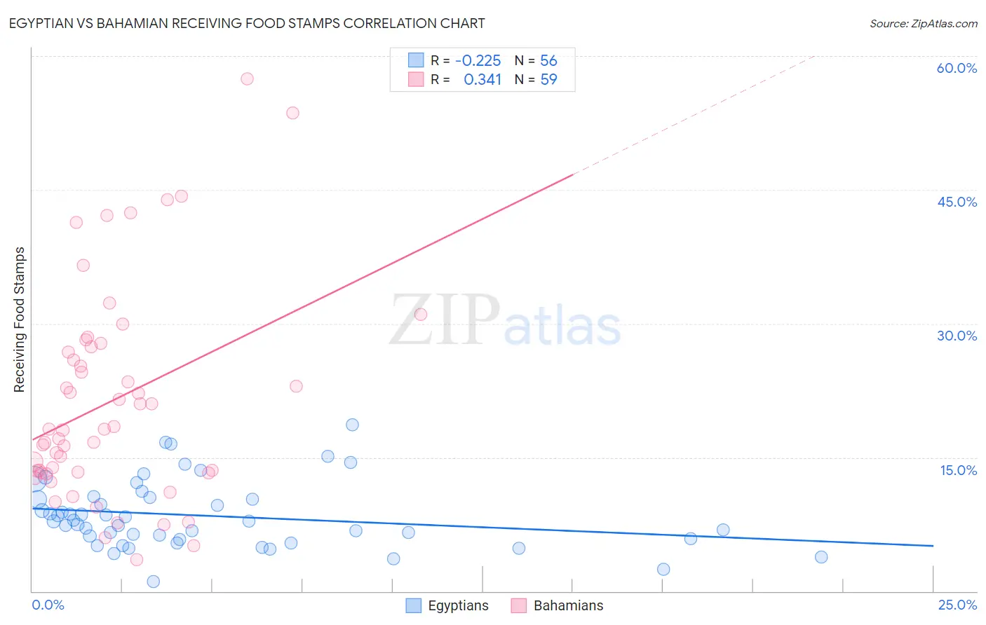 Egyptian vs Bahamian Receiving Food Stamps