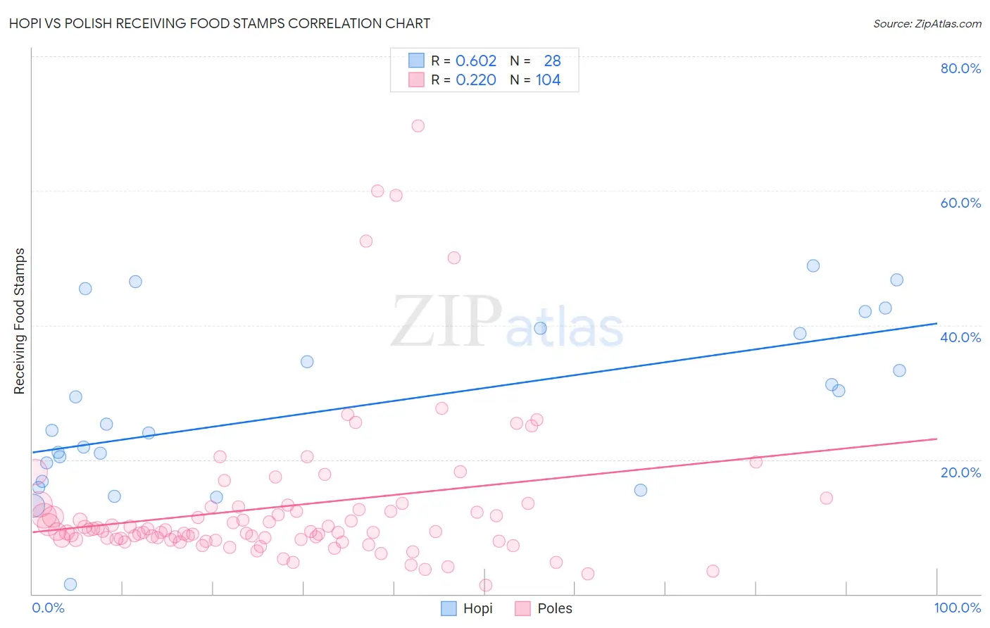 Hopi vs Polish Receiving Food Stamps