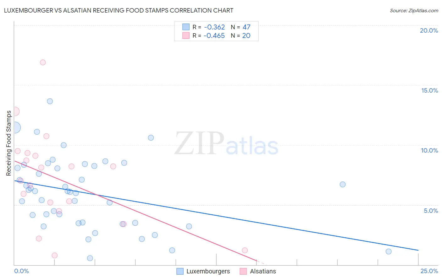 Luxembourger vs Alsatian Receiving Food Stamps