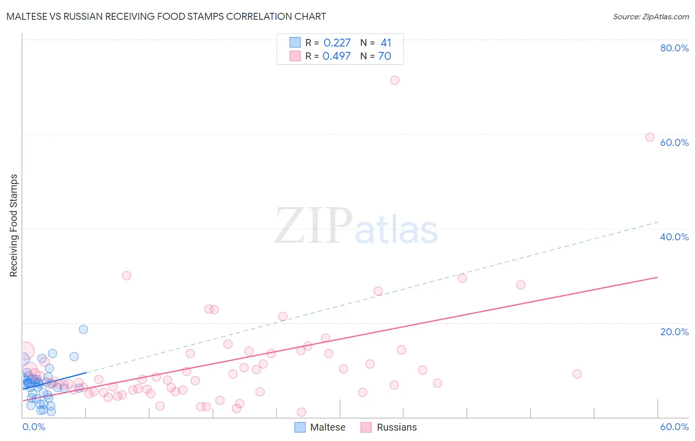 Maltese vs Russian Receiving Food Stamps