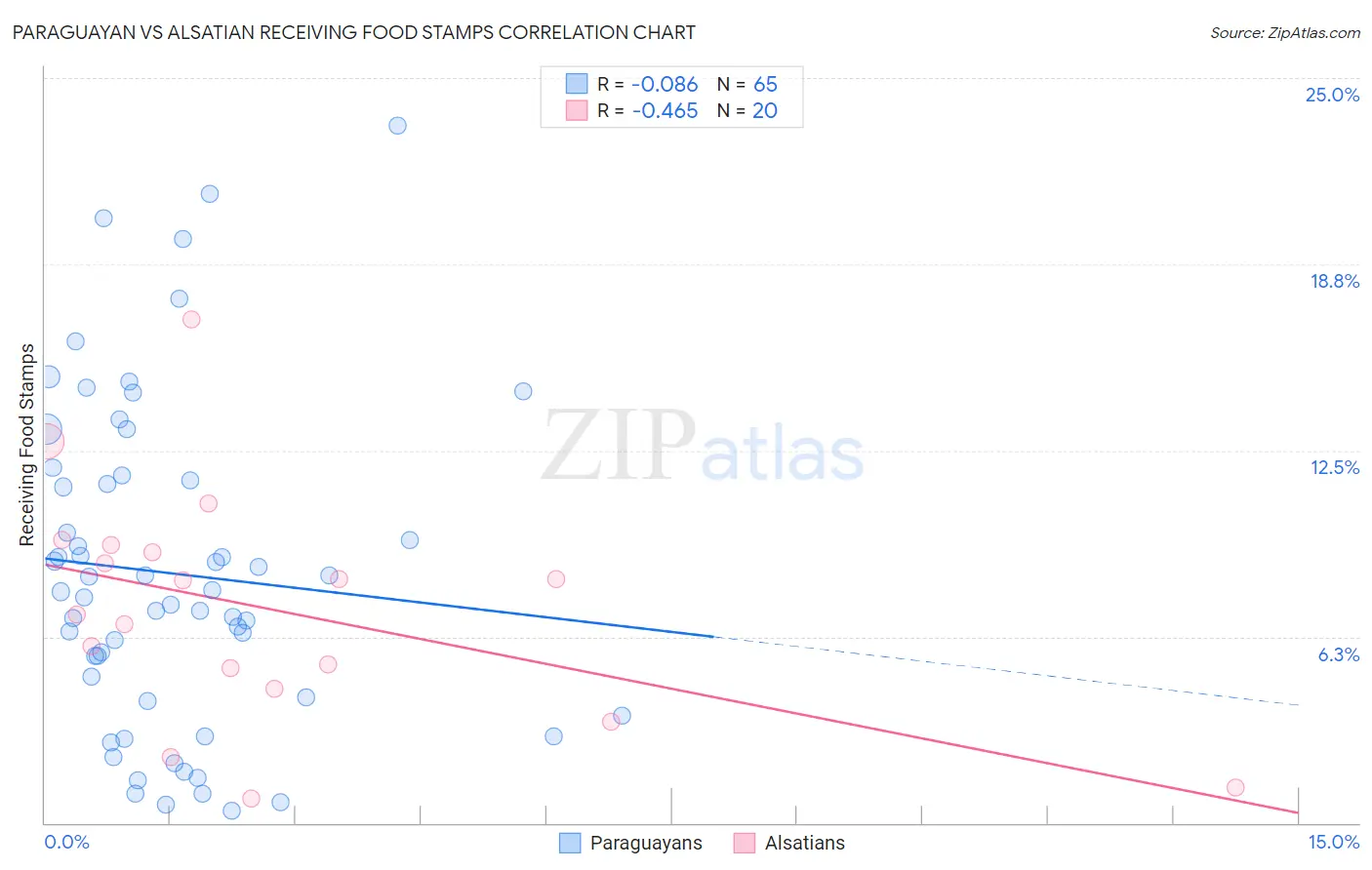 Paraguayan vs Alsatian Receiving Food Stamps