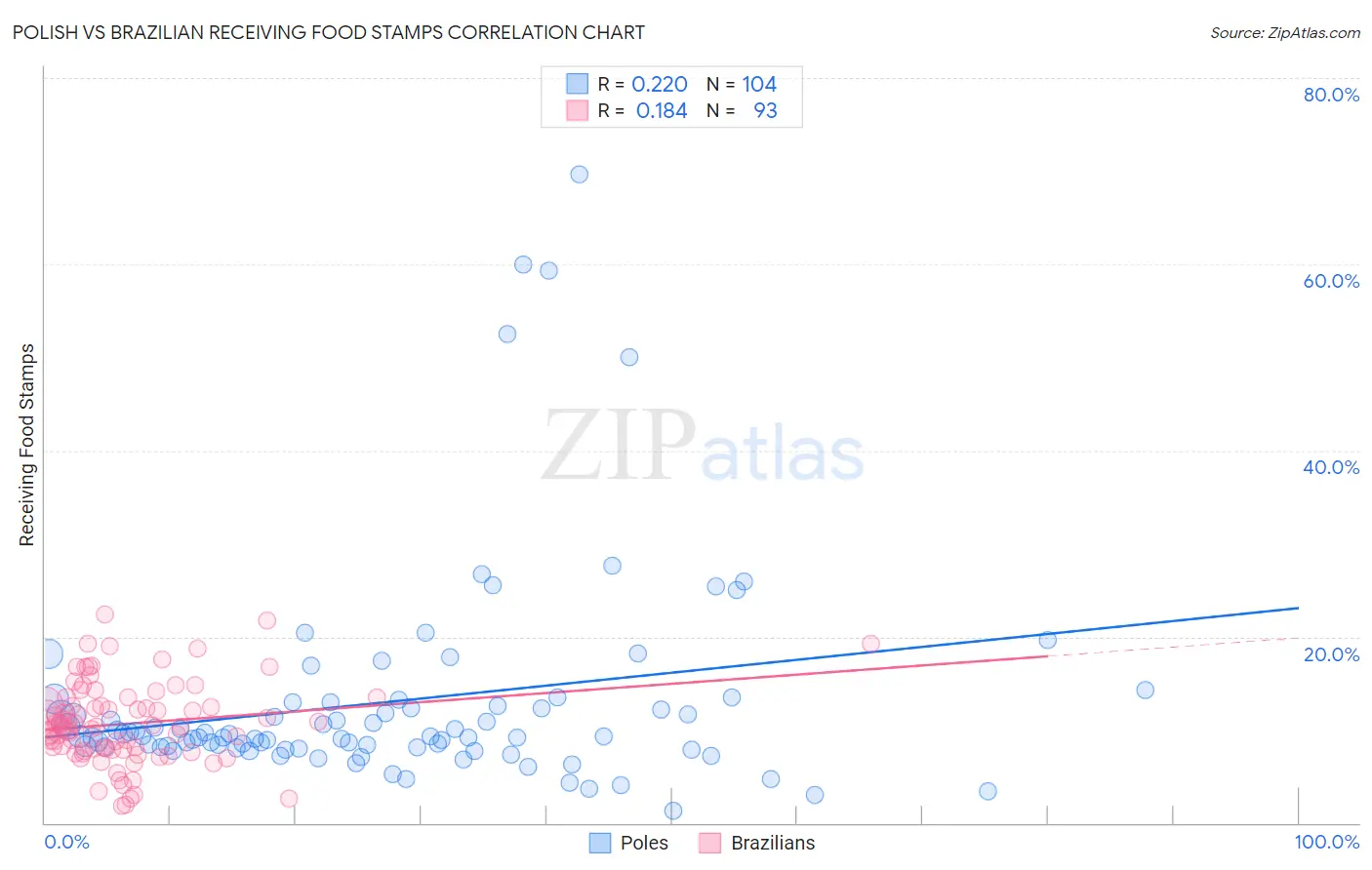 Polish vs Brazilian Receiving Food Stamps