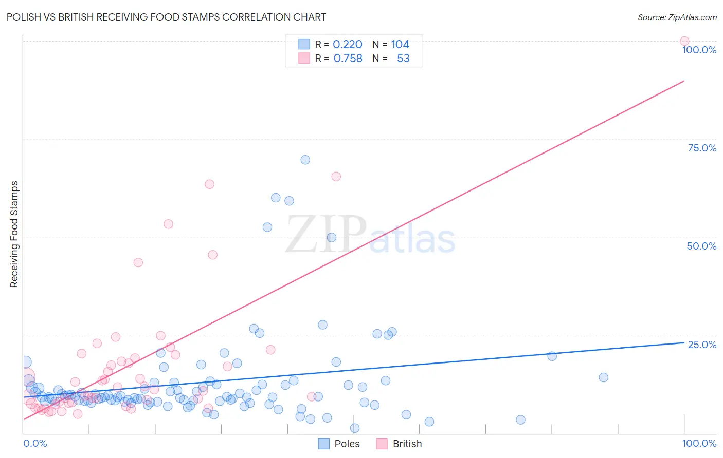 Polish vs British Receiving Food Stamps