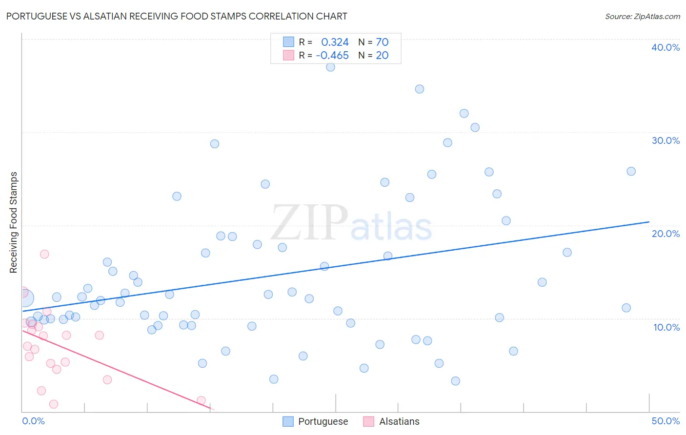 Portuguese vs Alsatian Receiving Food Stamps