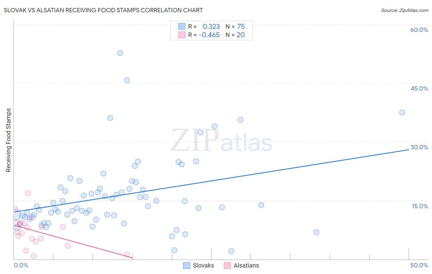Slovak vs Alsatian Receiving Food Stamps