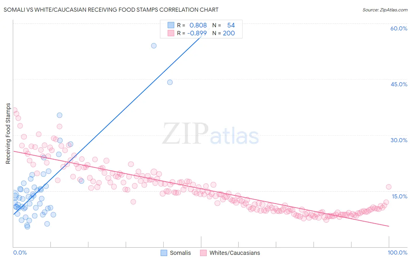 Somali vs White/Caucasian Receiving Food Stamps
