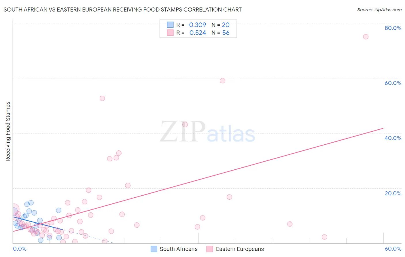 South African vs Eastern European Receiving Food Stamps