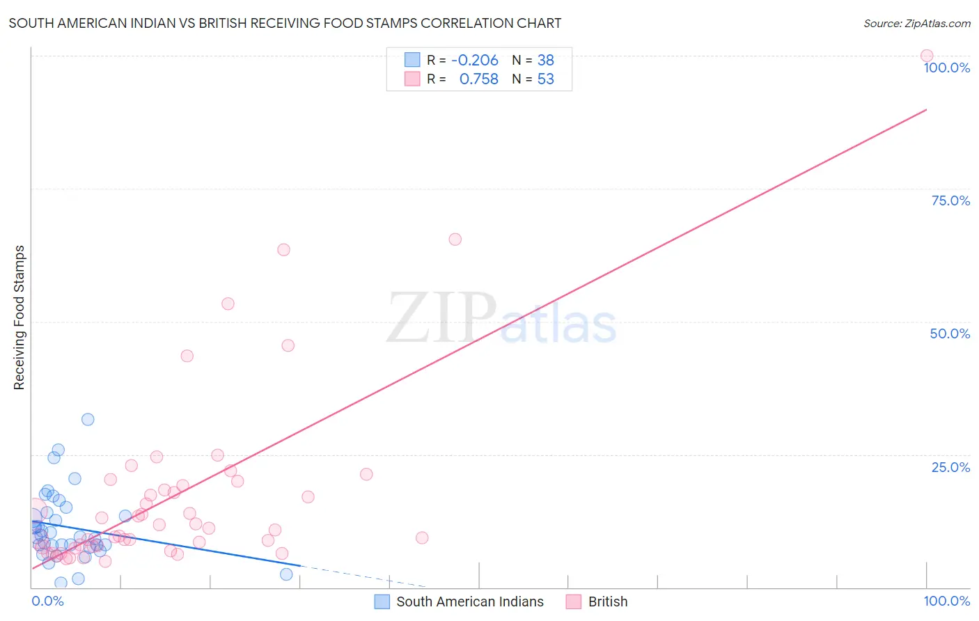 South American Indian vs British Receiving Food Stamps