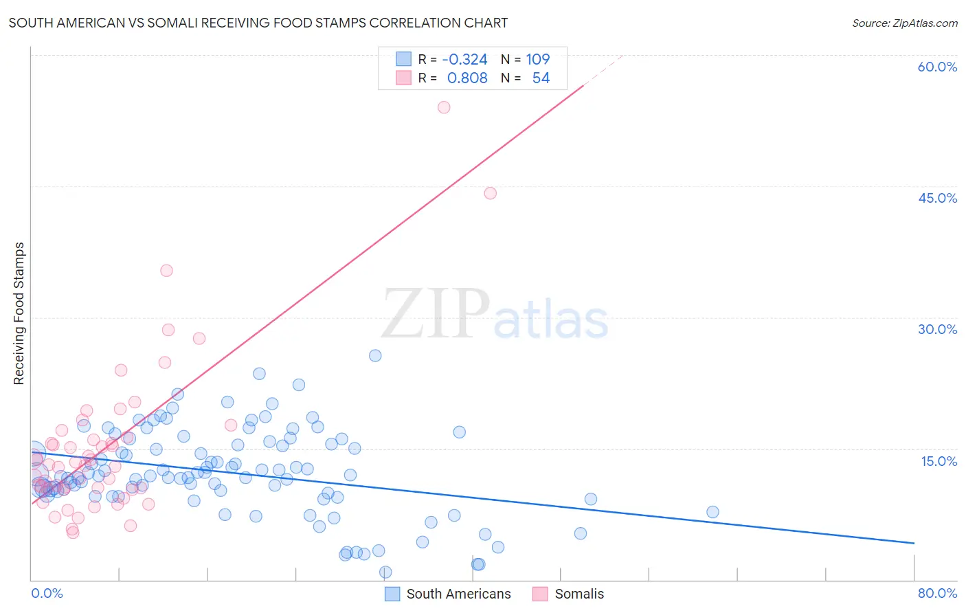 South American vs Somali Receiving Food Stamps