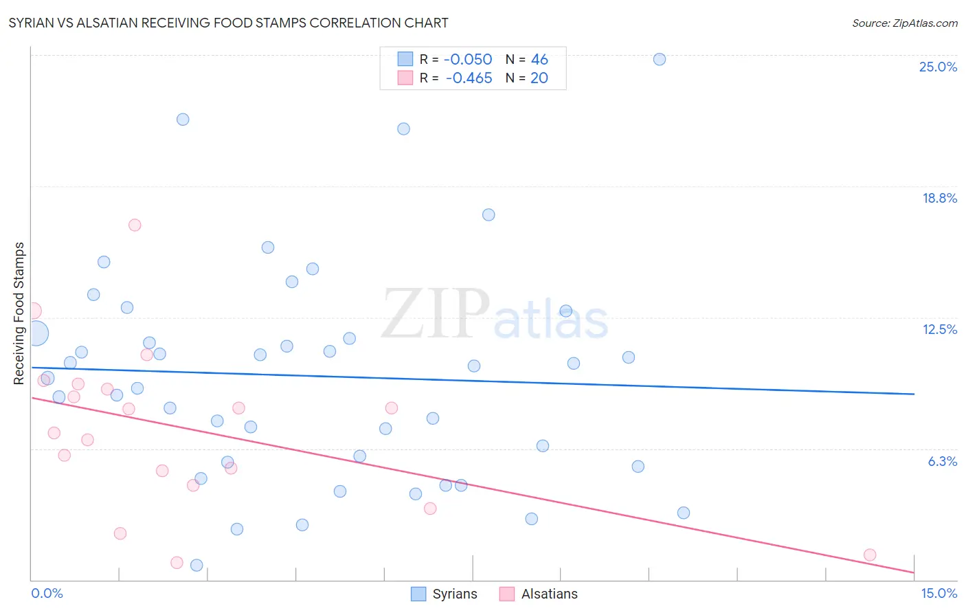 Syrian vs Alsatian Receiving Food Stamps