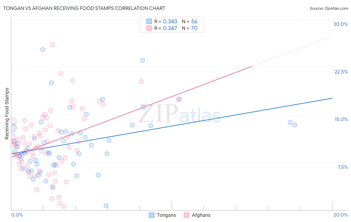 Tongan vs Afghan Receiving Food Stamps
