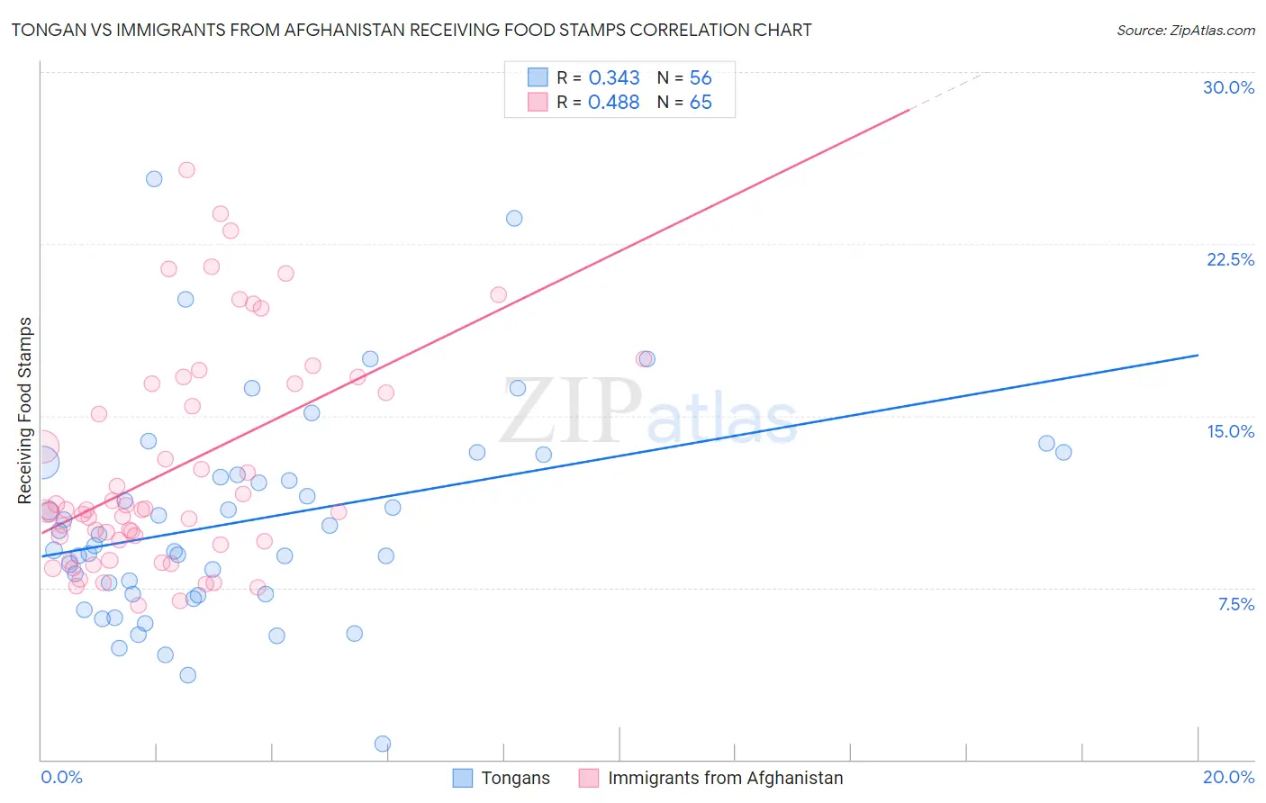 Tongan vs Immigrants from Afghanistan Receiving Food Stamps