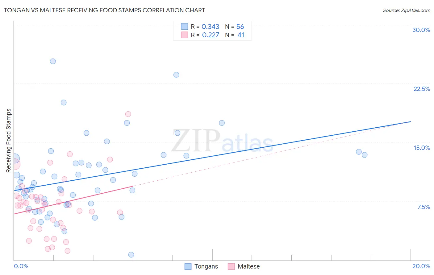 Tongan vs Maltese Receiving Food Stamps