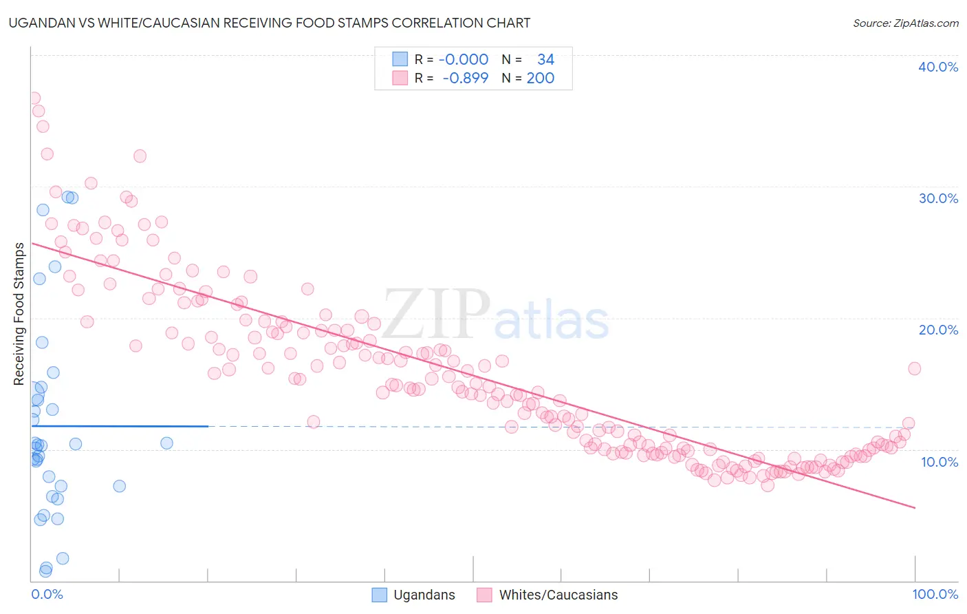 Ugandan vs White/Caucasian Receiving Food Stamps