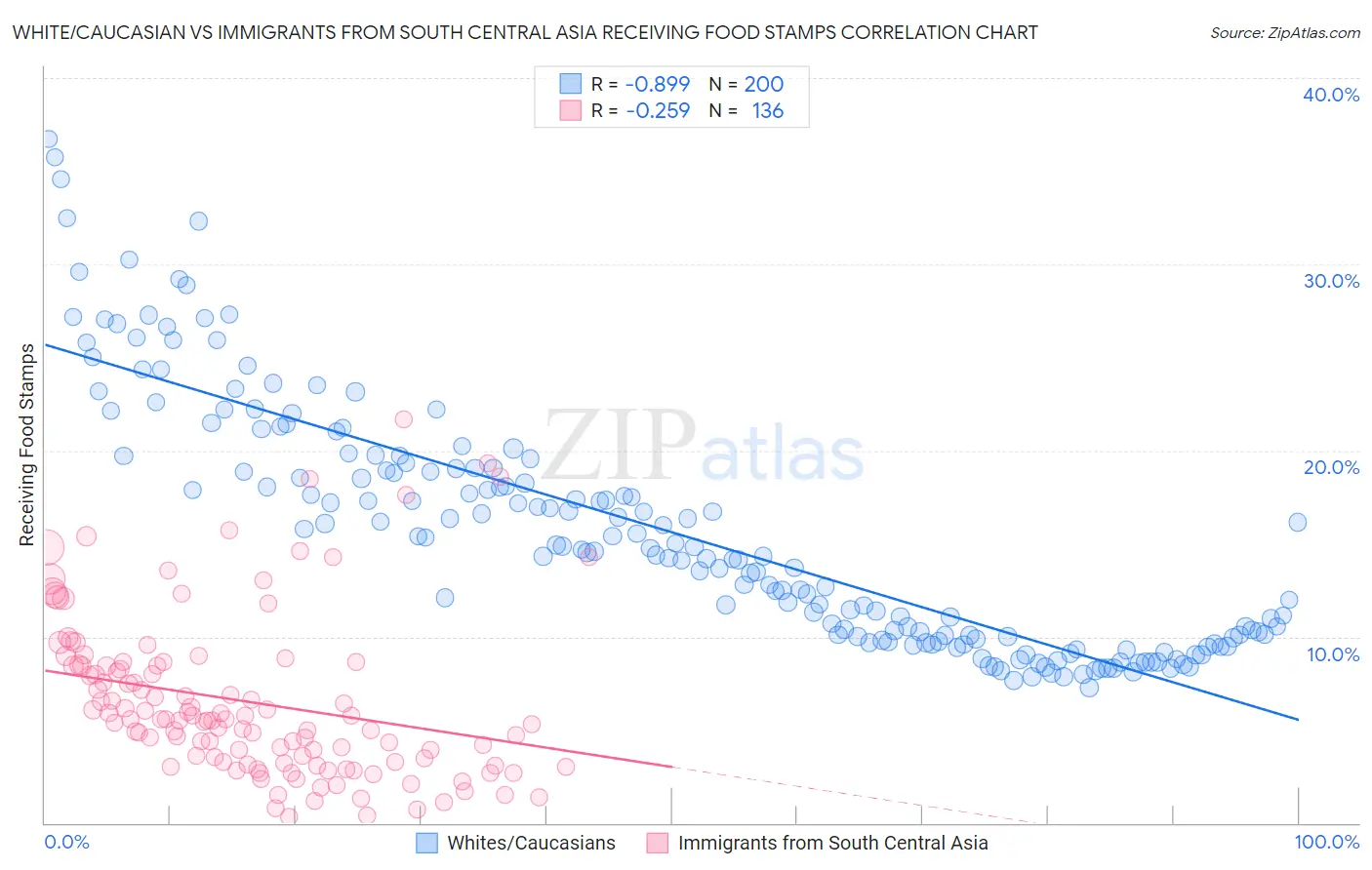 White/Caucasian vs Immigrants from South Central Asia Receiving Food Stamps