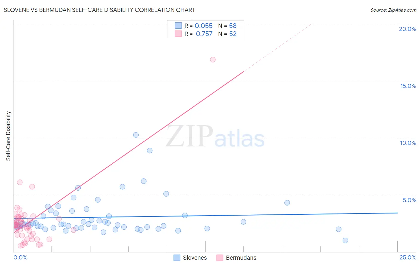 Slovene vs Bermudan Self-Care Disability