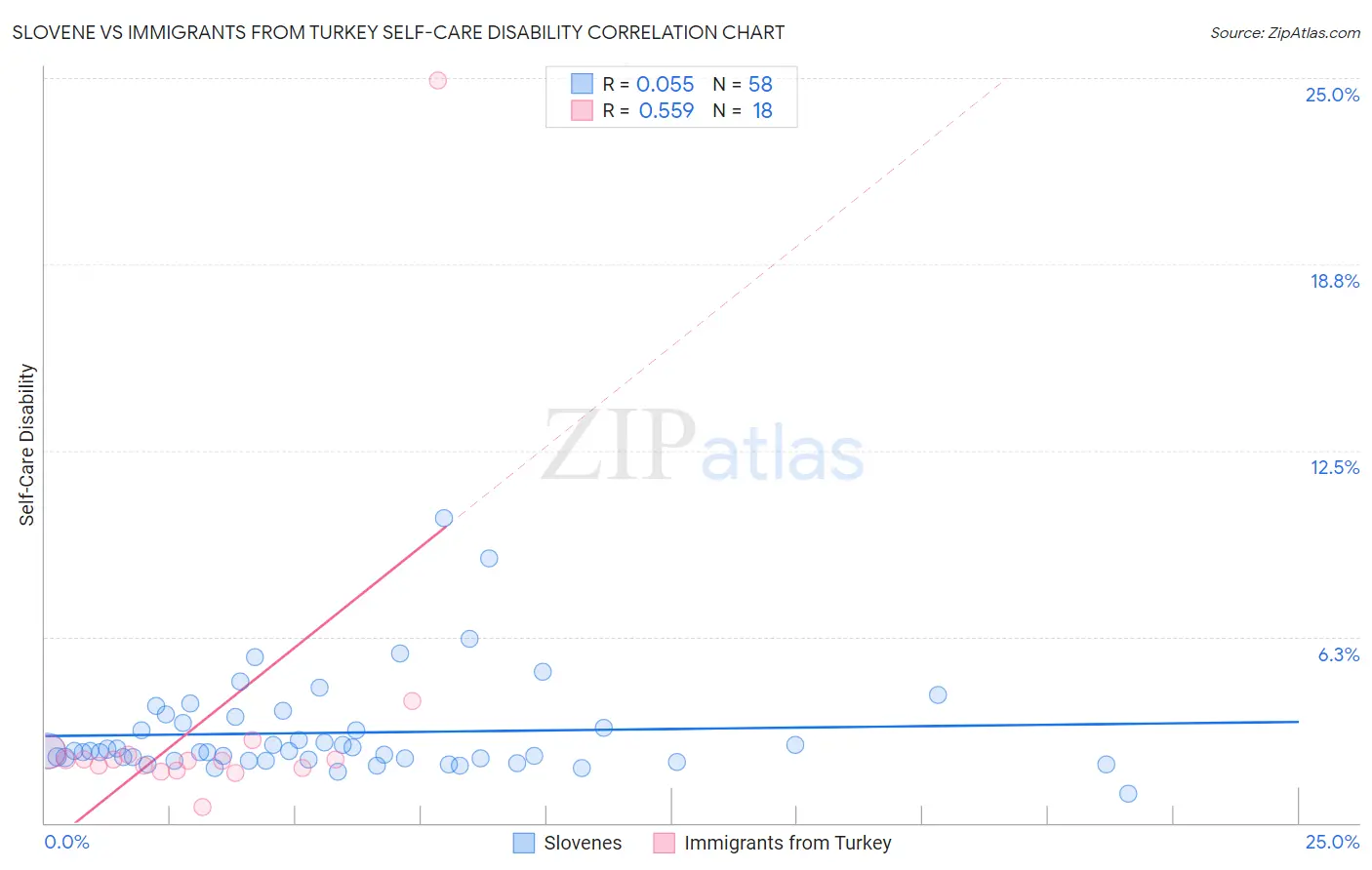 Slovene vs Immigrants from Turkey Self-Care Disability