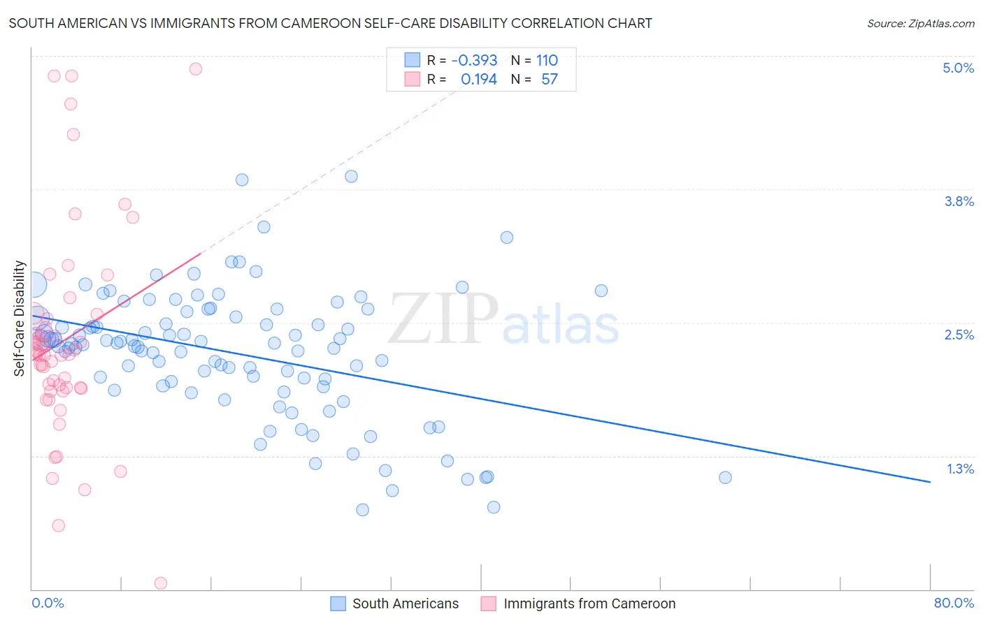 South American vs Immigrants from Cameroon Self-Care Disability