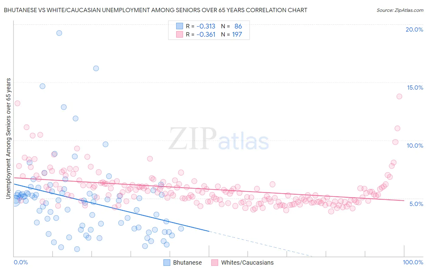 Bhutanese vs White/Caucasian Unemployment Among Seniors over 65 years