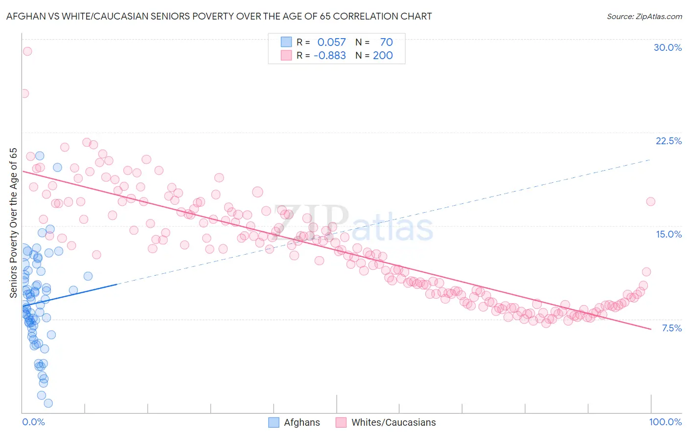 Afghan vs White/Caucasian Seniors Poverty Over the Age of 65