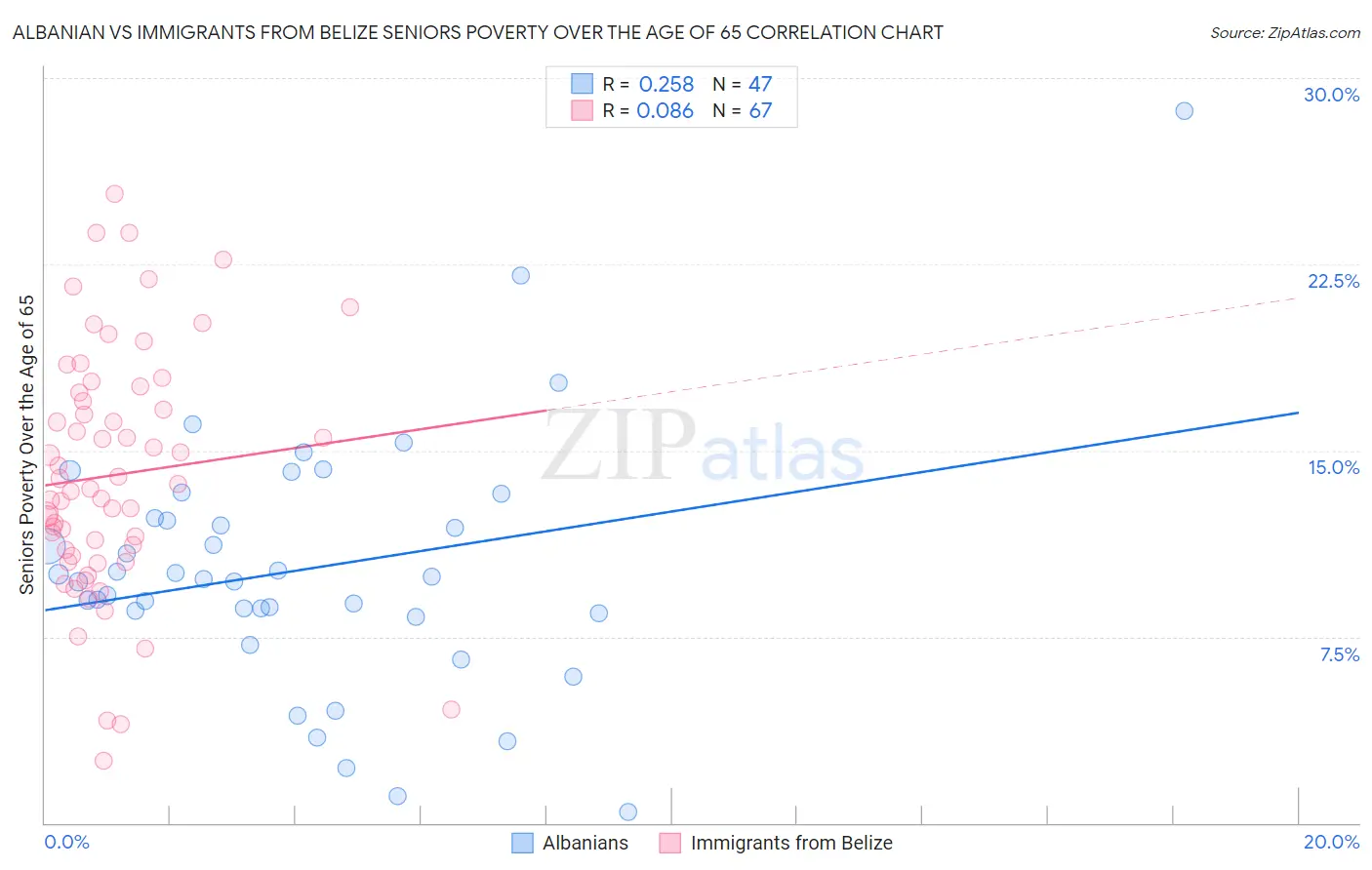 Albanian vs Immigrants from Belize Seniors Poverty Over the Age of 65