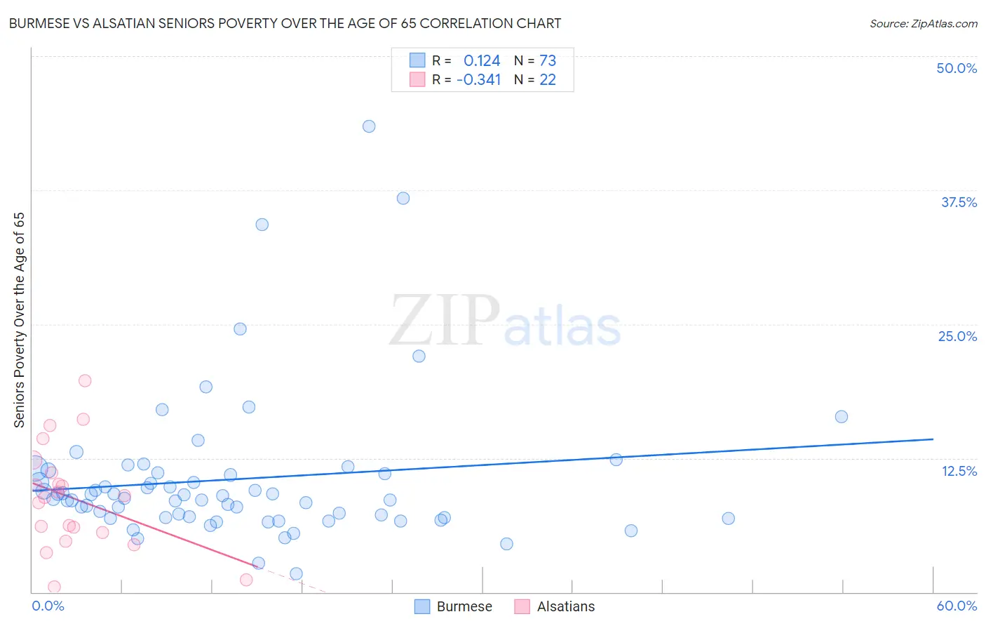 Burmese vs Alsatian Seniors Poverty Over the Age of 65