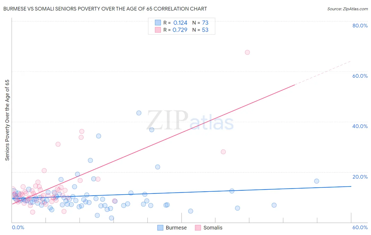 Burmese vs Somali Seniors Poverty Over the Age of 65