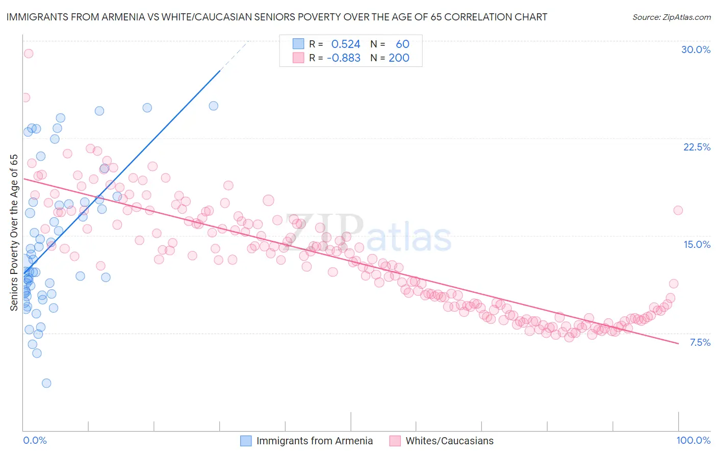 Immigrants from Armenia vs White/Caucasian Seniors Poverty Over the Age of 65