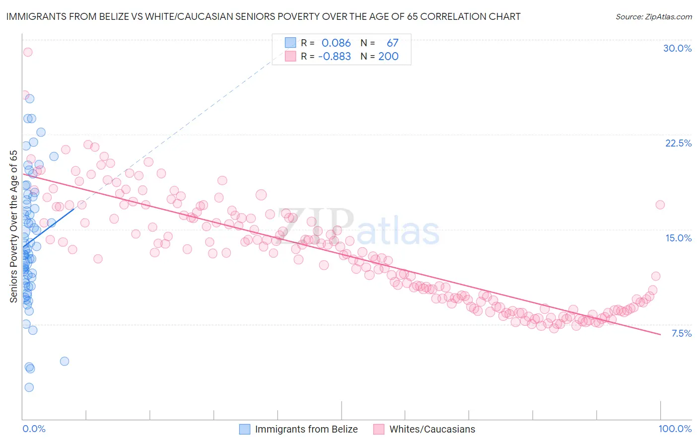 Immigrants from Belize vs White/Caucasian Seniors Poverty Over the Age of 65