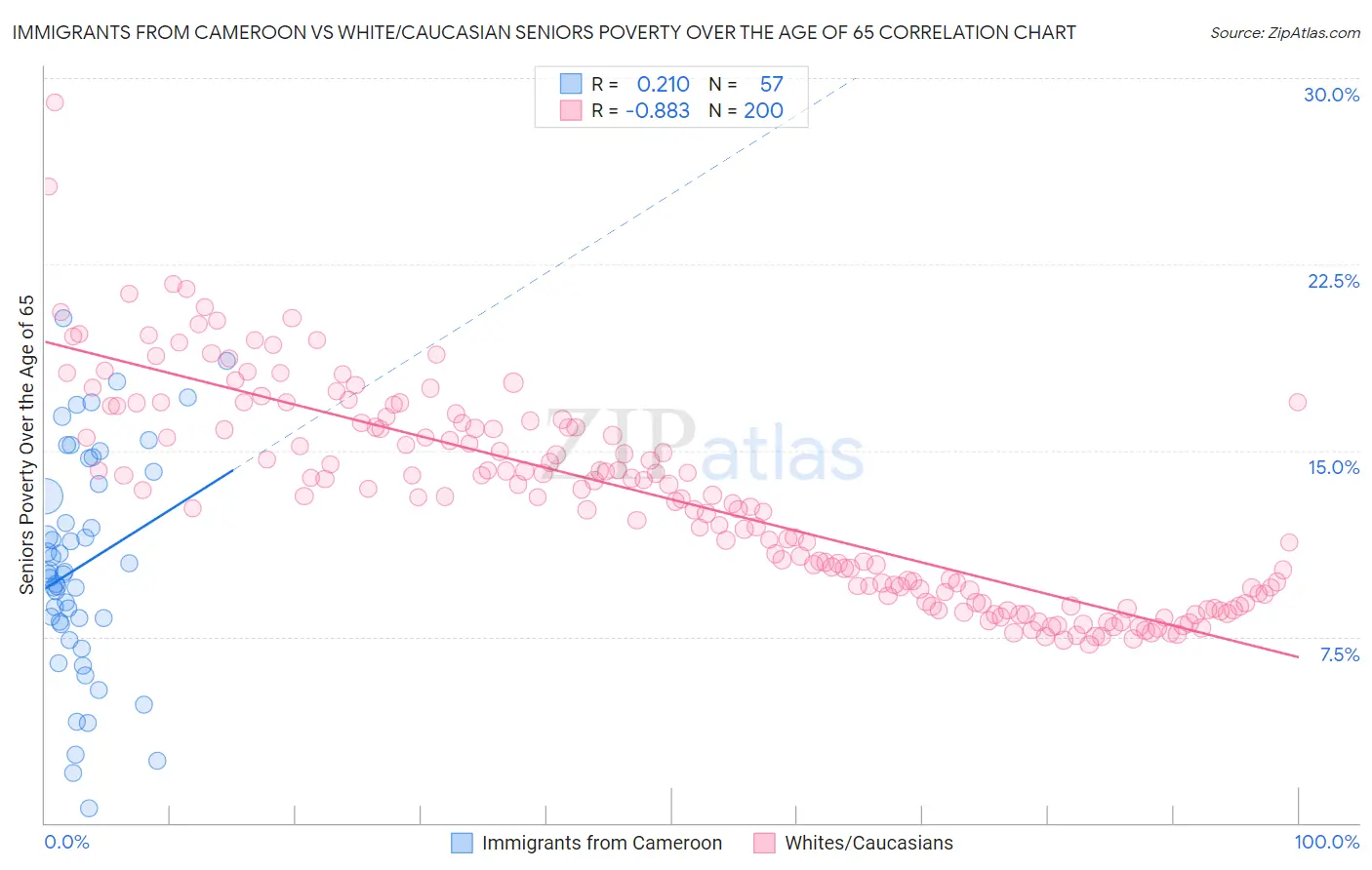 Immigrants from Cameroon vs White/Caucasian Seniors Poverty Over the Age of 65