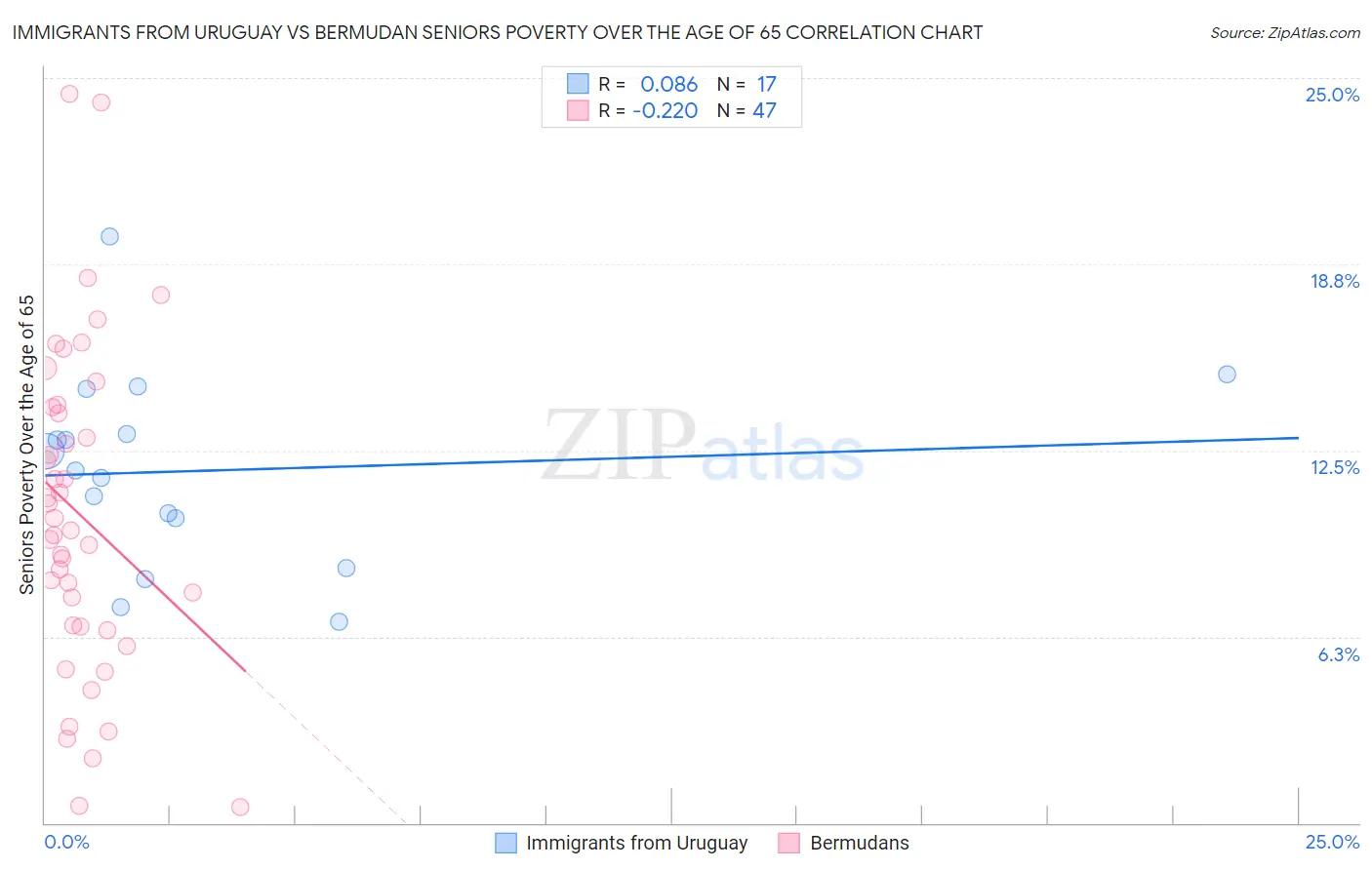 Immigrants from Uruguay vs Bermudan Seniors Poverty Over the Age of 65