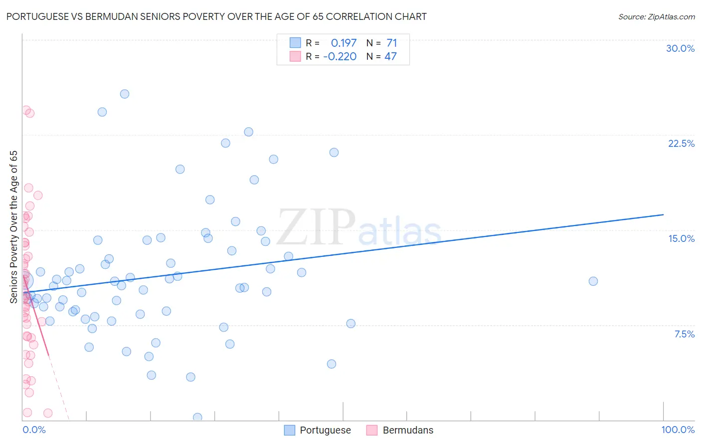 Portuguese vs Bermudan Seniors Poverty Over the Age of 65