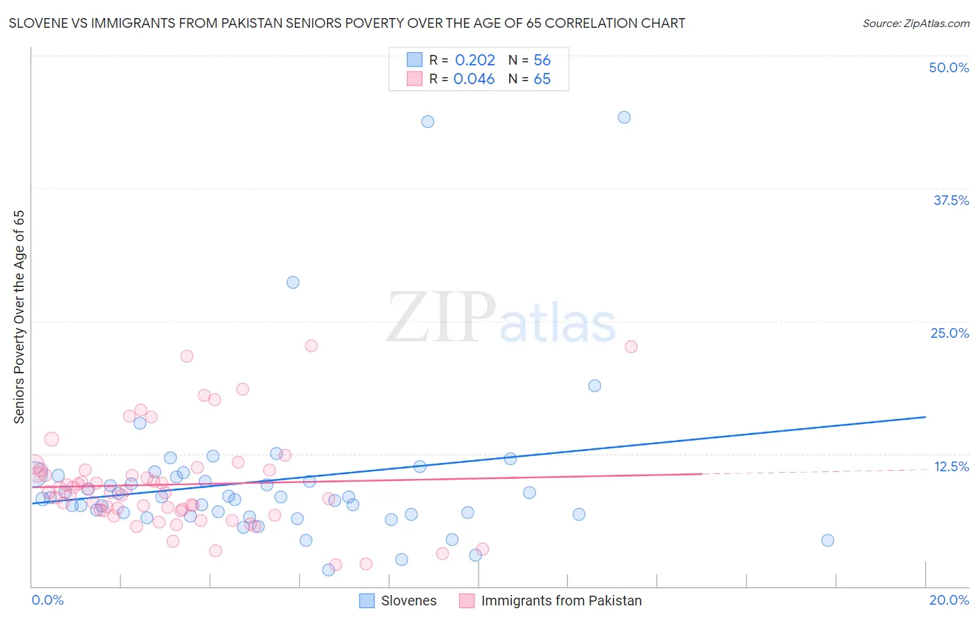 Slovene vs Immigrants from Pakistan Seniors Poverty Over the Age of 65