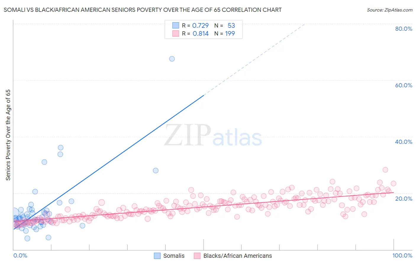 Somali vs Black/African American Seniors Poverty Over the Age of 65