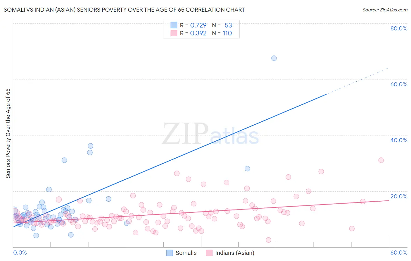 Somali vs Indian (Asian) Seniors Poverty Over the Age of 65