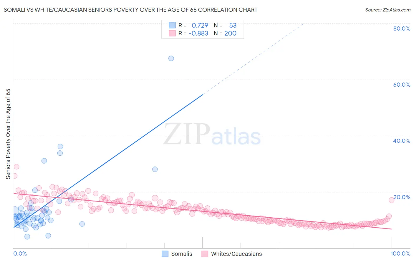 Somali vs White/Caucasian Seniors Poverty Over the Age of 65