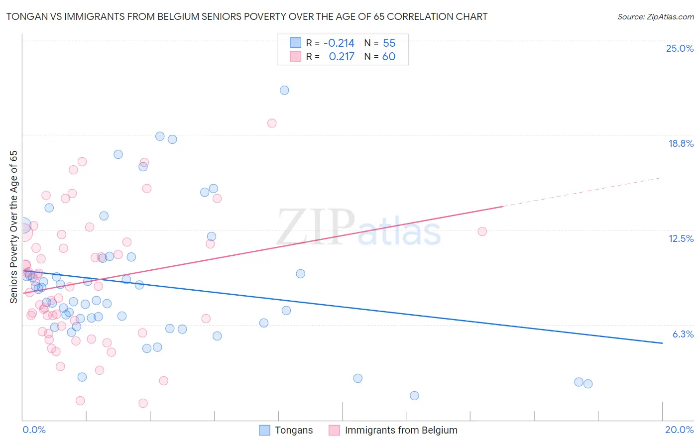 Tongan vs Immigrants from Belgium Seniors Poverty Over the Age of 65