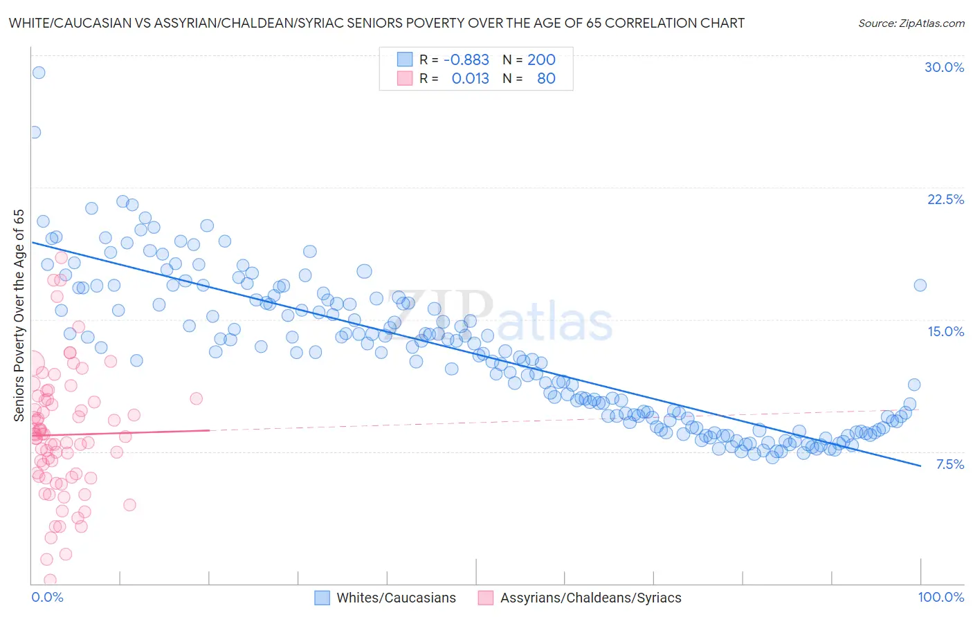 White/Caucasian vs Assyrian/Chaldean/Syriac Seniors Poverty Over the Age of 65